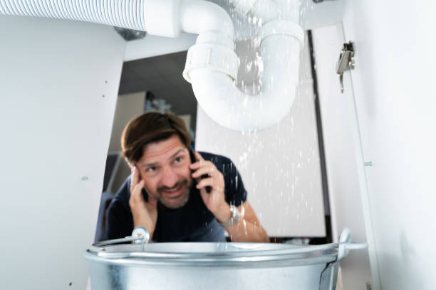 Best Local Plumber Services  in Horse Cave, KY